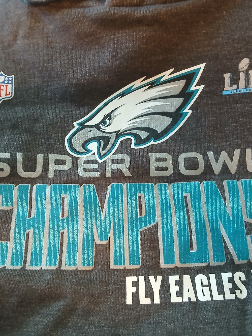 NFL Philadelphia Eagles Super Bowl Champions Hoodie - Gray & Teal Size 2XL